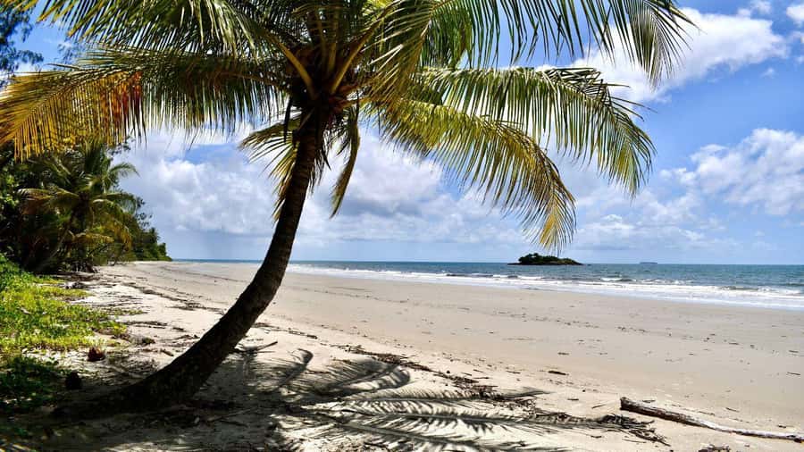 From Port Douglas: Daintree Rainforest & Mossman Gorge Tour - What to pack for comfort