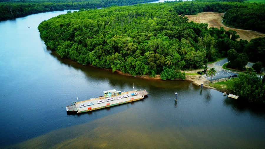 From Port Douglas: Daintree Rainforest & Mossman Gorge Tour - The ferry crossing adds a final taste of the river