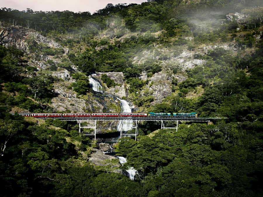 From Port Douglas: Kuranda Tour with Skyrail & Scenic Train - Skyrail gives you the big rainforest view