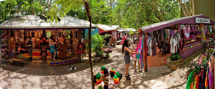 From Port Douglas: Kuranda Tour with Skyrail & Scenic Train - The guide makes a busy day easier