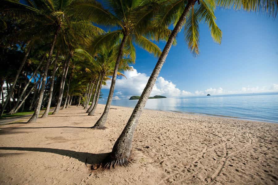From Port Douglas: Kuranda Tour with Skyrail & Scenic Train - What the $148 price really covers