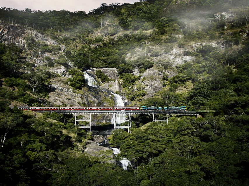 From Port Douglas: Kuranda Tour with Skyrail & Scenic Train - Should you book the Skyrail and train combination?