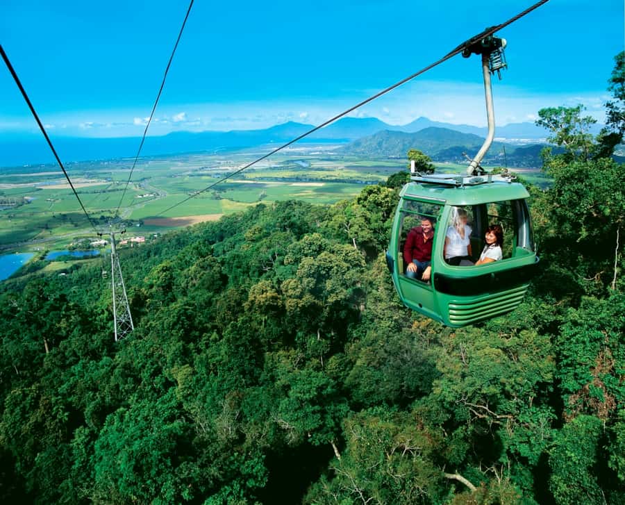 From Port Douglas: Kuranda via Scenic Rail or Skyrail Option - Why this Port Douglas day trip works so well