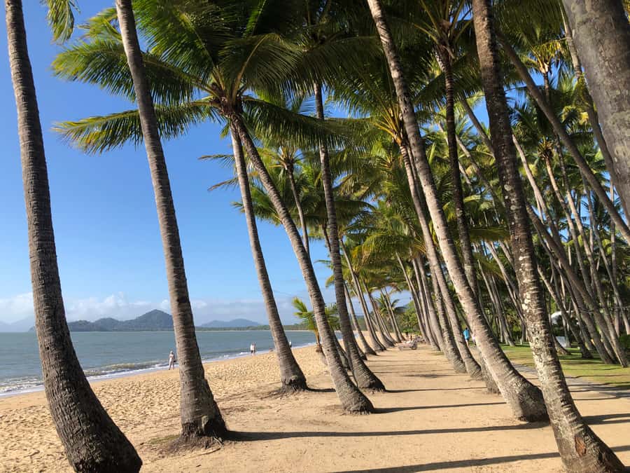 From Port Douglas: Kuranda via Scenic Rail or Skyrail Option - Freshwater Station and the Kuranda Scenic Railway