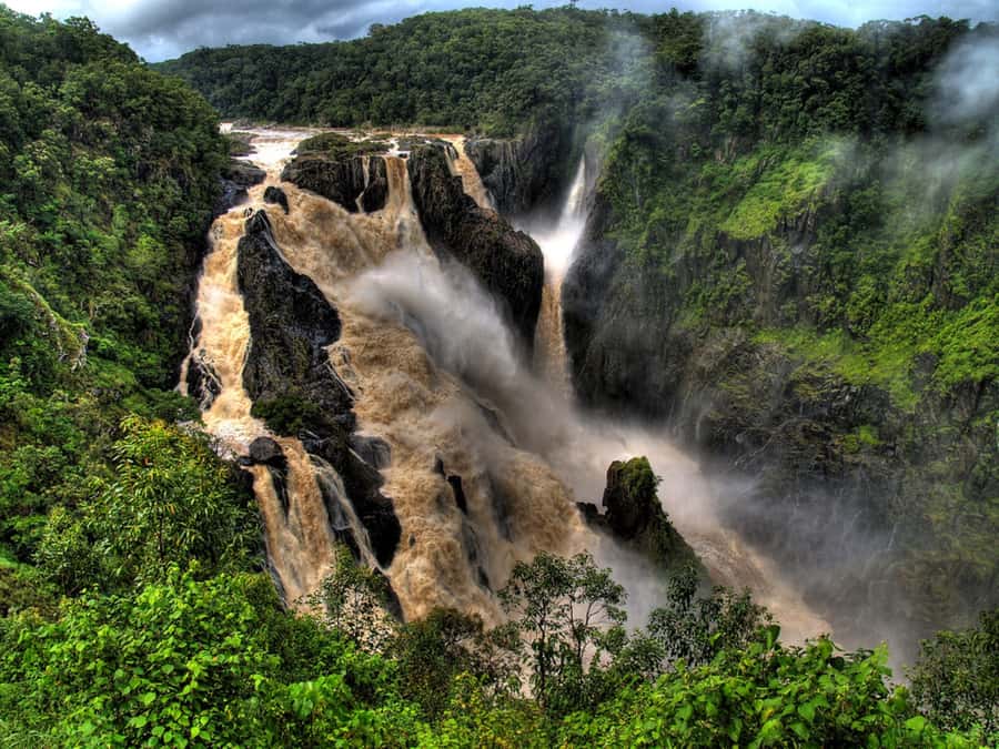 From Port Douglas: Kuranda via Scenic Rail or Skyrail Option - What the $116 price really covers
