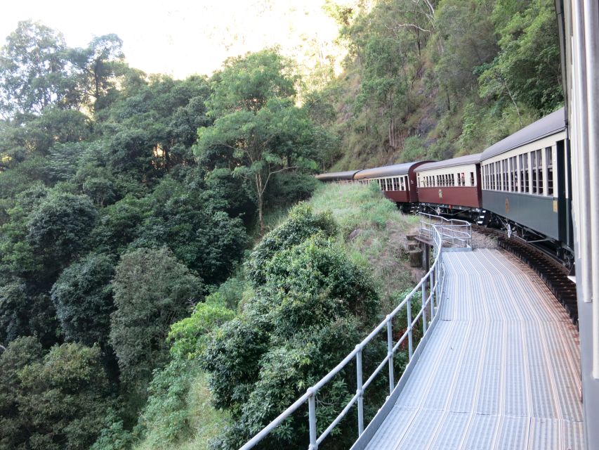 From Port Douglas: Kuranda via Scenic Rail or Skyrail Option - Who should book this day out