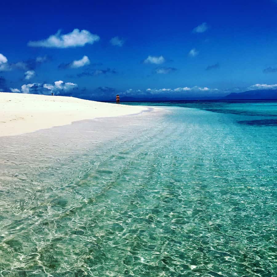 From Port Douglas: Outer Reef Cruise by Luxury Catamaran - First reef site: guided snorkeling at Mackay Cay