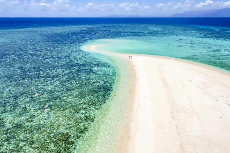 From Port Douglas: Outer Reef Cruise by Luxury Catamaran - Buffet lunch aboard the catamaran