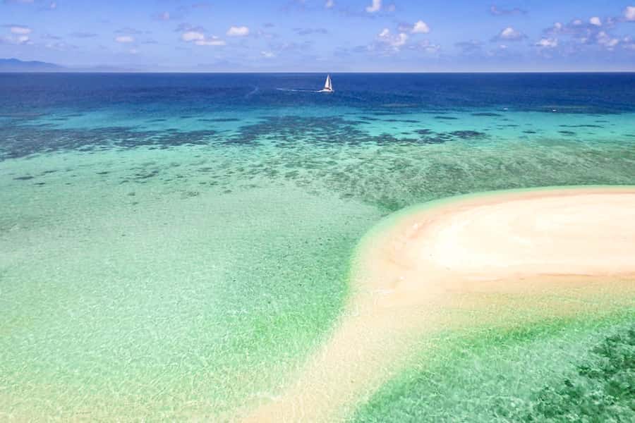 From Port Douglas: Outer Reef Cruise by Luxury Catamaran - Starting early in Port Douglas