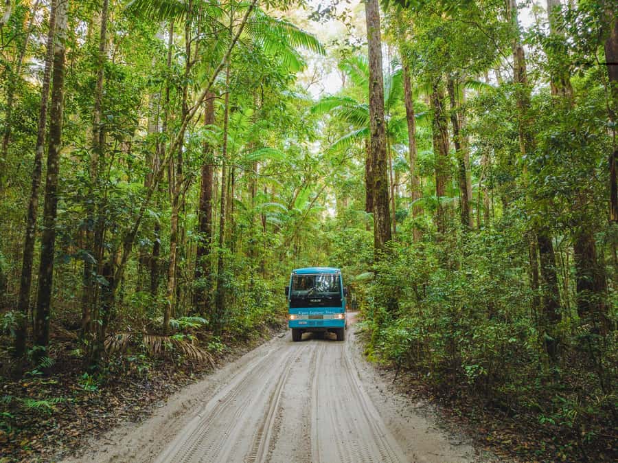 From Rainbow Beach: K'gari Fraser Island Full-Day Coach Tour - Who should book this K’gari tour?