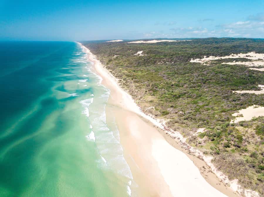 From Rainbow Beach: K'gari Fraser Island Full-Day Coach Tour - Central Station and the Wanggoolba Creek boardwalk