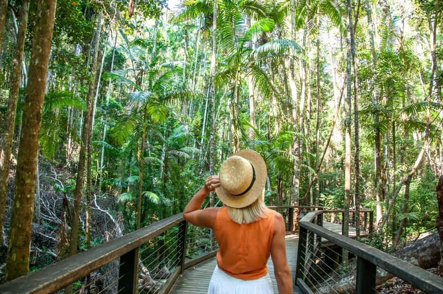 From Rainbow Beach: K'gari Fraser Island Full-Day Coach Tour - Eli Creek and the freshwater option