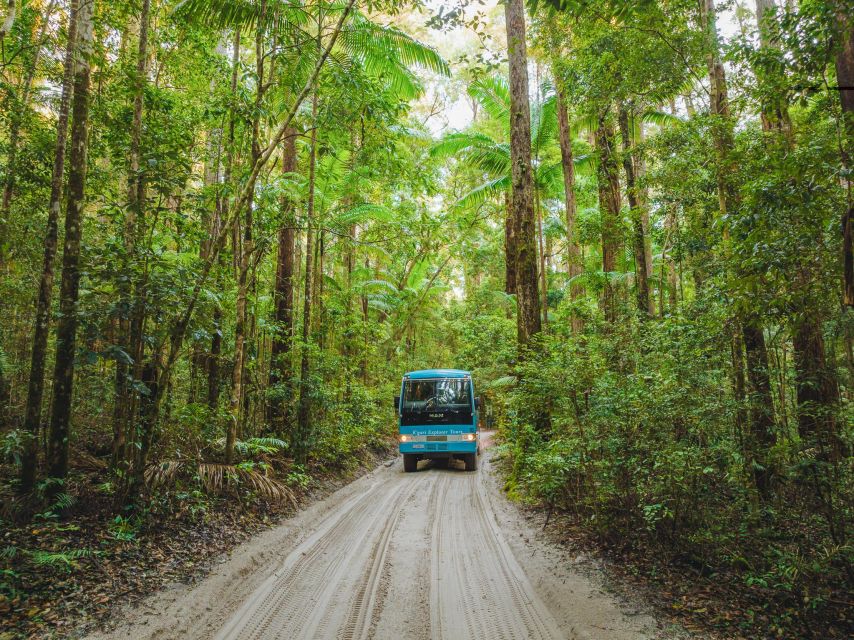 From Rainbow Beach: K'gari Fraser Island Full-Day Coach Tour - Lunch at K’gari Beach Resort