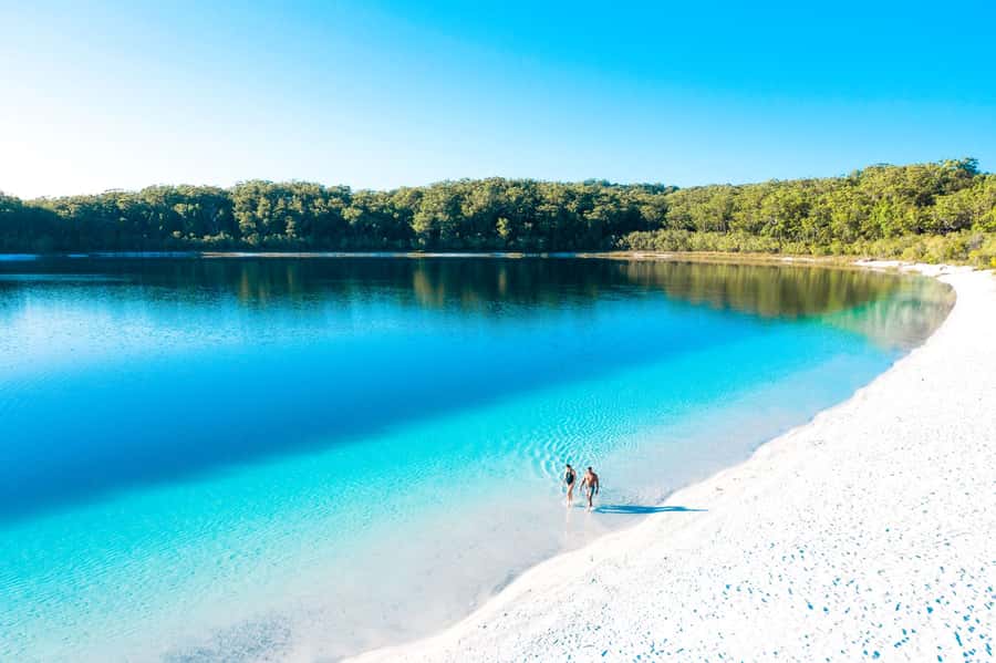 From Rainbow Beach: K'gari Fraser Island Full-Day Coach Tour - Guides, commentary, and the human side of the tour