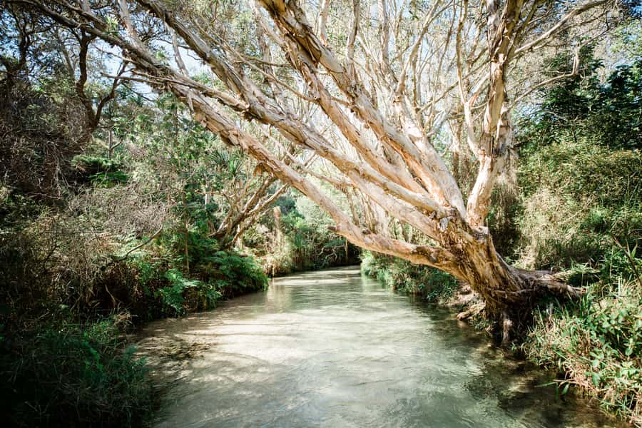 From Rainbow Beach: K'gari Fraser Island Full-Day Coach Tour - The 4WD coach and the ferry crossing