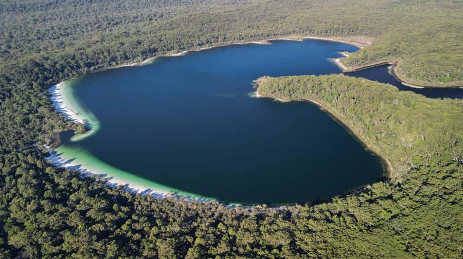 From Rainbow Beach: K'gari (Fraser Island) Full-Day Tour - The SS Maheno and a shipwreck with a story