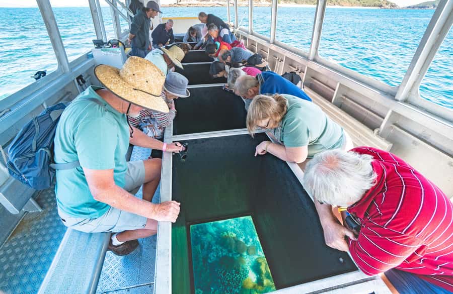 From Rosslyn: Great Keppel Island Adventure Tour with Lunch - The day at a glance