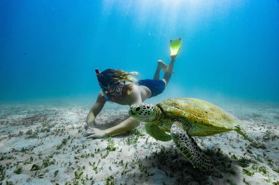 From Rosslyn: Great Keppel Island Adventure Tour with Lunch - One hour to choose your own Great Keppel experience