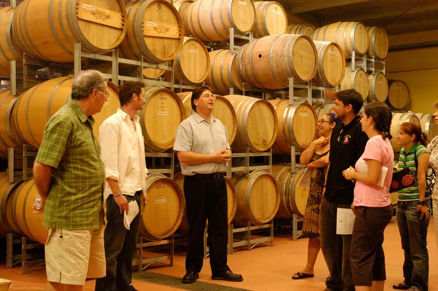 From Sydney: All Inclusive Boutique Hunter Valley Wine Tour - The guide can make or break the day