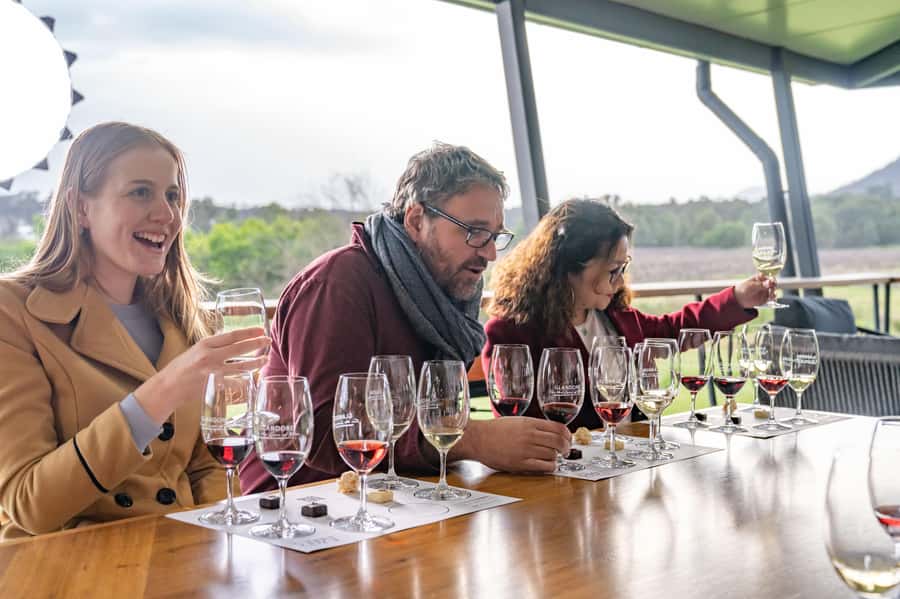 From Sydney: All Inclusive Boutique Hunter Valley Wine Tour - Who should book this Hunter Valley day?