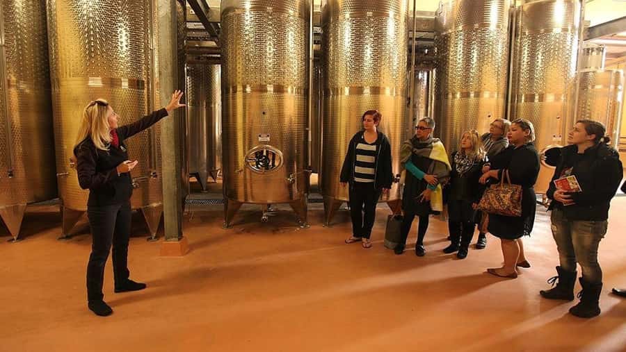 From Sydney: Award-Winning Hunter Valley Wine & Cheese Tour - First cellar doors in the Hunter Valley