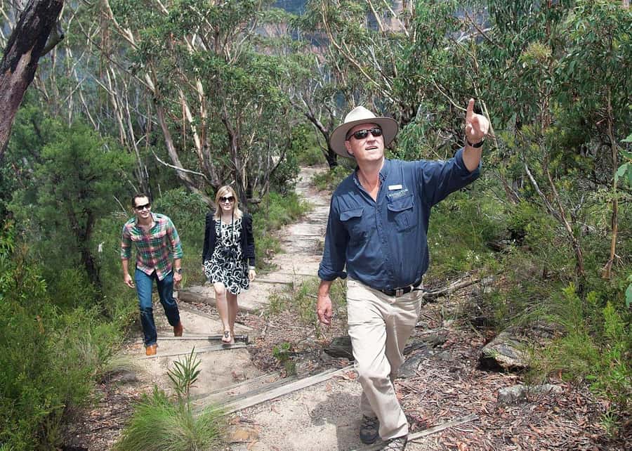 From Sydney: Blue Mountains Bushwalks & Featherdale Tour - Key points before you book
