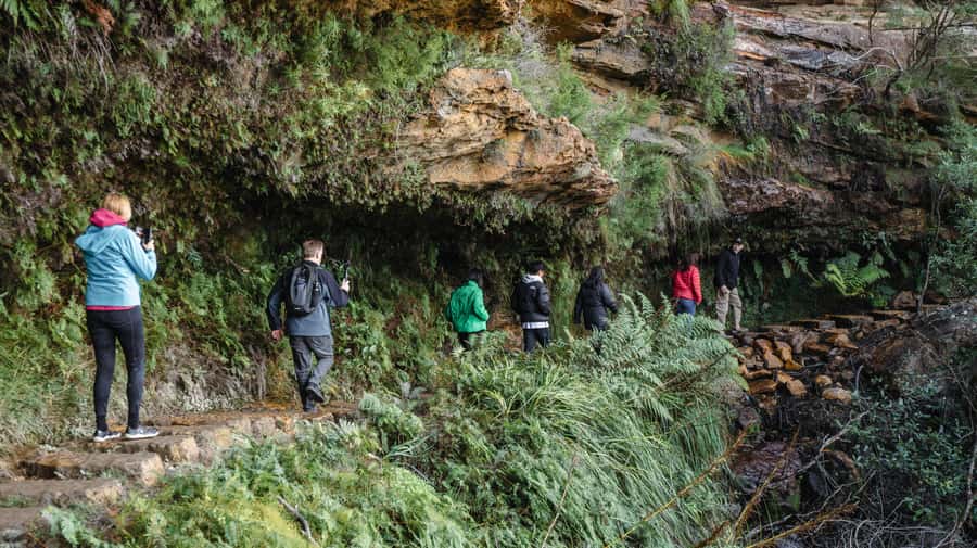 From Sydney: Blue Mountains Bushwalks & Featherdale Tour - Three Sisters at Echo Point: the essential Blue Mountains view