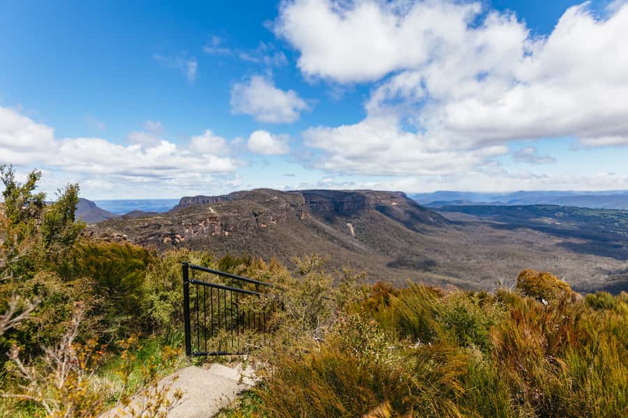 From Sydney: Blue Mountains Full-Day Trip - The ferry back to Sydney