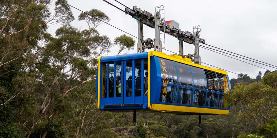 From Sydney: Blue Mountains, Scenic Railway, & Sydney Zoo - A big day with three very different Blue Mountains views