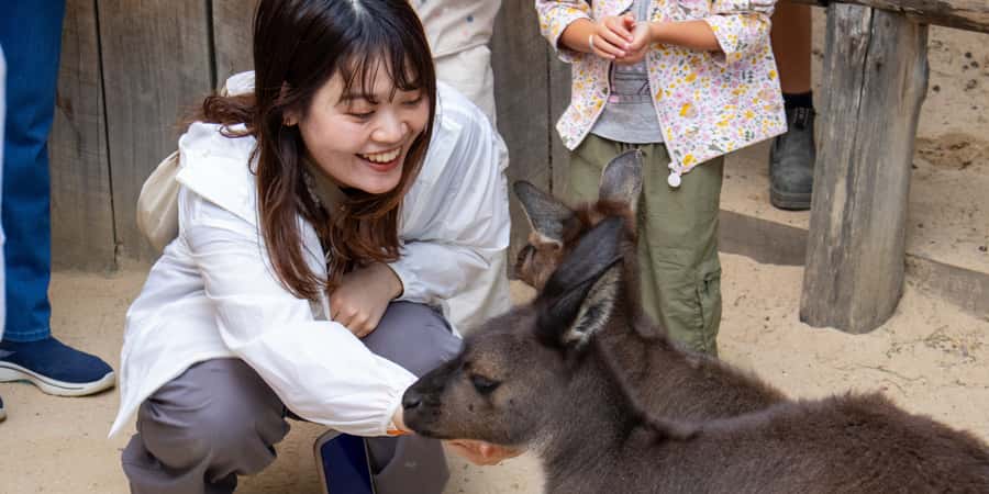 From Sydney: Blue Mountains, Scenic Railway, & Sydney Zoo - Leura gives you one hour to slow down