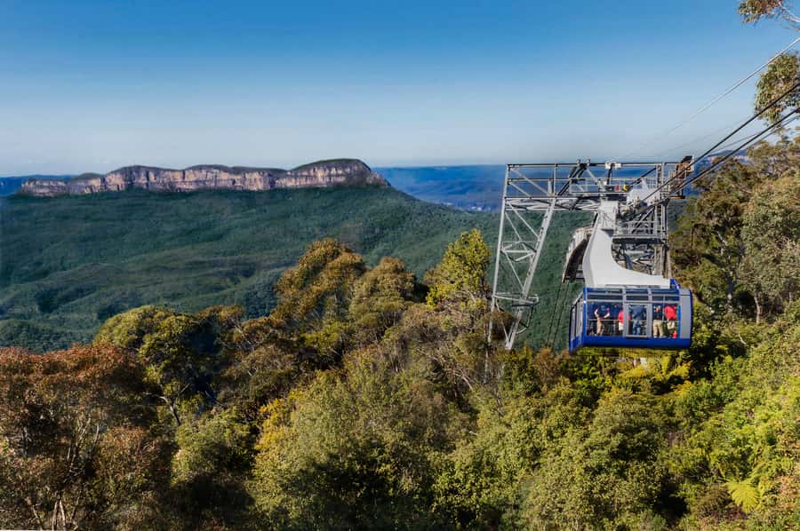 From Sydney: Blue Mountains, Scenic World, Zoo, & Ferry Ride - Sydney Zoo and Australian animals