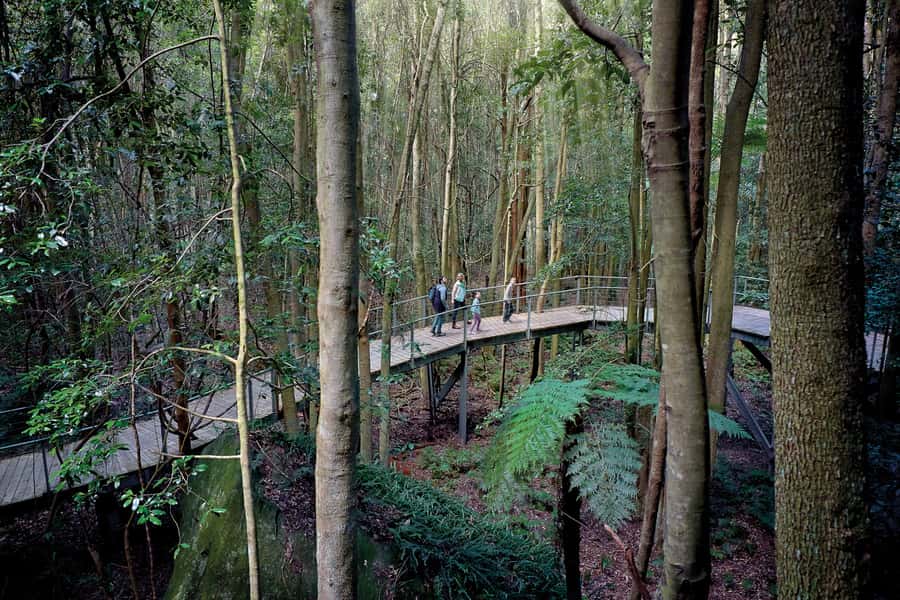 From Sydney: Blue Mountains, Scenic World, Zoo, & Ferry Ride - Early pickup and the ride west