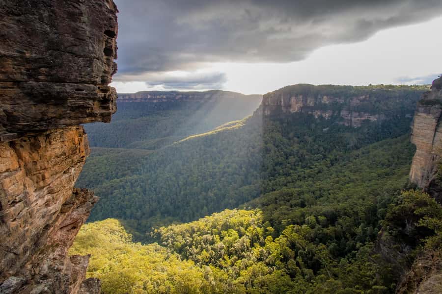 From Sydney: Blue Mountains, Sydney Zoo & Walking Tour - Leura gives you an hour for food and browsing