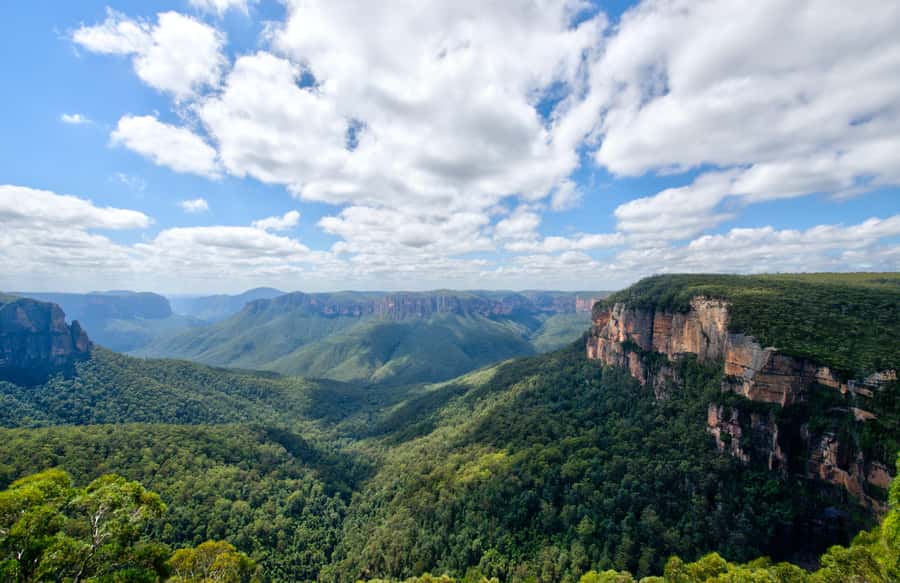 From Sydney: Blue Mountains, Sydney Zoo & Walking Tour - Katoomba Falls brings the day onto footpaths