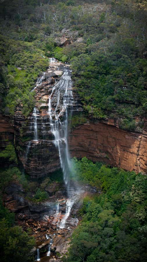 From Sydney: Blue Mountains, Sydney Zoo & Walking Tour - What the $77 price really covers