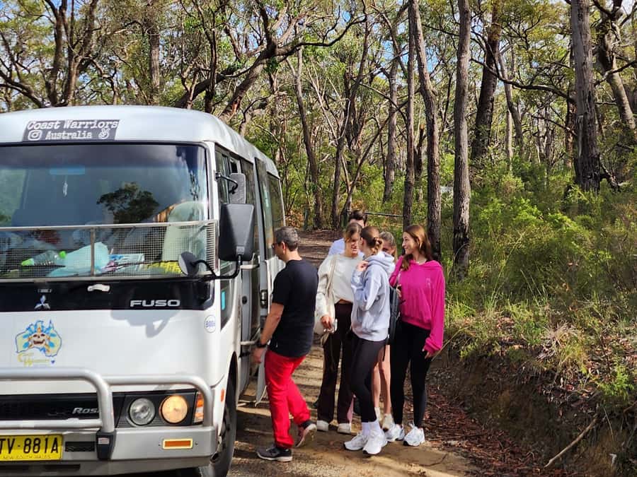 From Sydney: Blue Mountains Tour with Waterfall Walk & Lunch - Should you book the Blue Mountains tour?