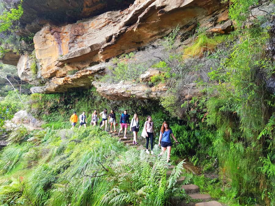 From Sydney: Blue Mountains Tour with Waterfall Walk & Lunch - Why the Wentworth Falls walk is the real star