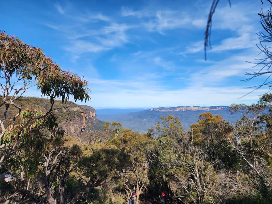 From Sydney: Blue Mountains Tour with Waterfall Walk & Lunch - The guides shape the experience