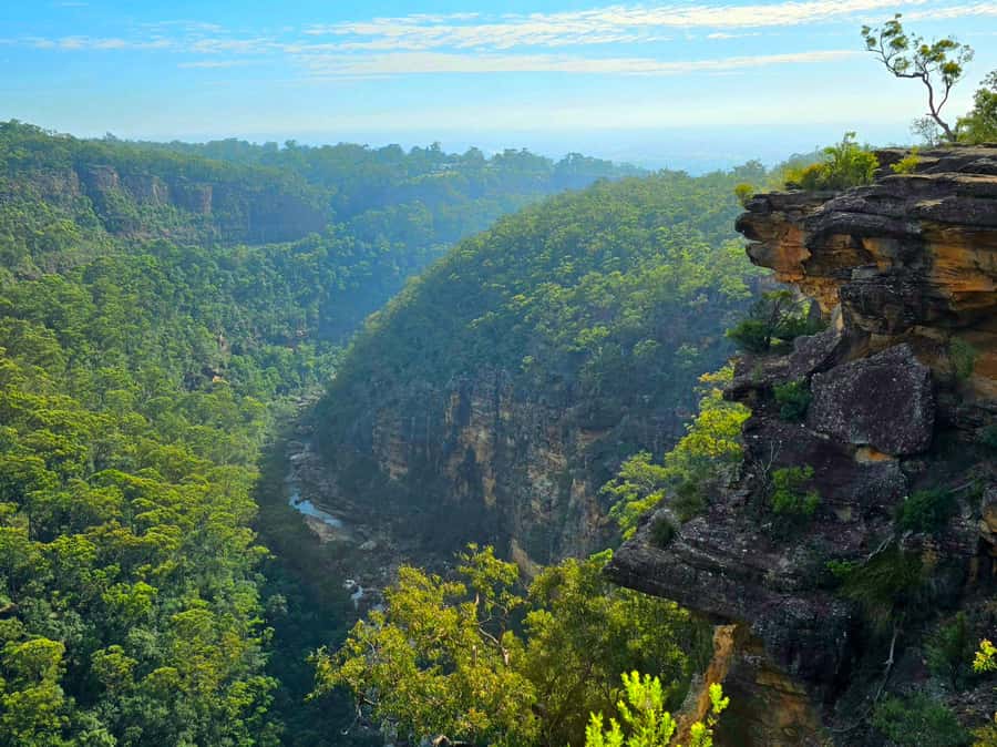 From Sydney: Blue Mountains Tour with Waterfall Walk & Lunch - Lunch, dietary needs, and what to carry
