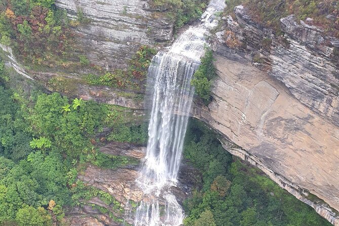 From Sydney: Blue Mountains with Zoo, Koala Photo & Scenic World - Gordon Falls brings waterfalls and rainforest air