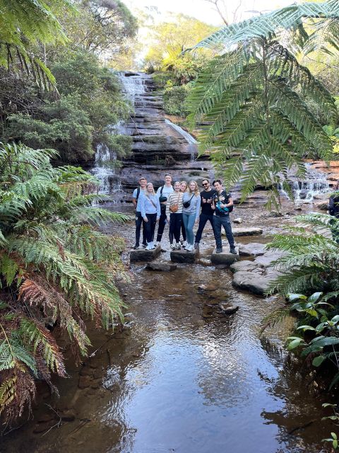 From Sydney: Blue Moutains and Featherdale Day Tour - Weather, walking, and the right kind of visitor