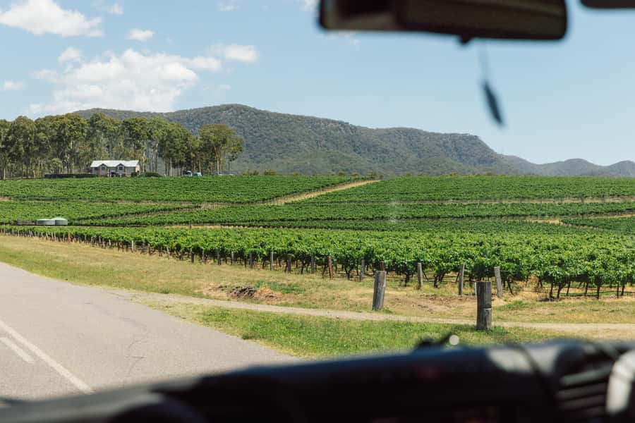 From Sydney: Full-Day Hunter Valley Wine Tour & Lunch - Why this Hunter Valley day trip offers good value