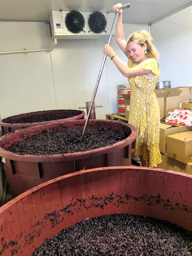 From Sydney: Hunter Valley Wine, Gin & Food Tastings Tour - A long but well-planned day from Sydney
