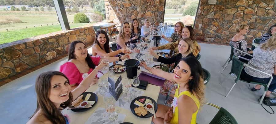 From Sydney: Hunter Valley Wine, Gin & Food Tastings Tour - Cheese and wine show why pairings matter