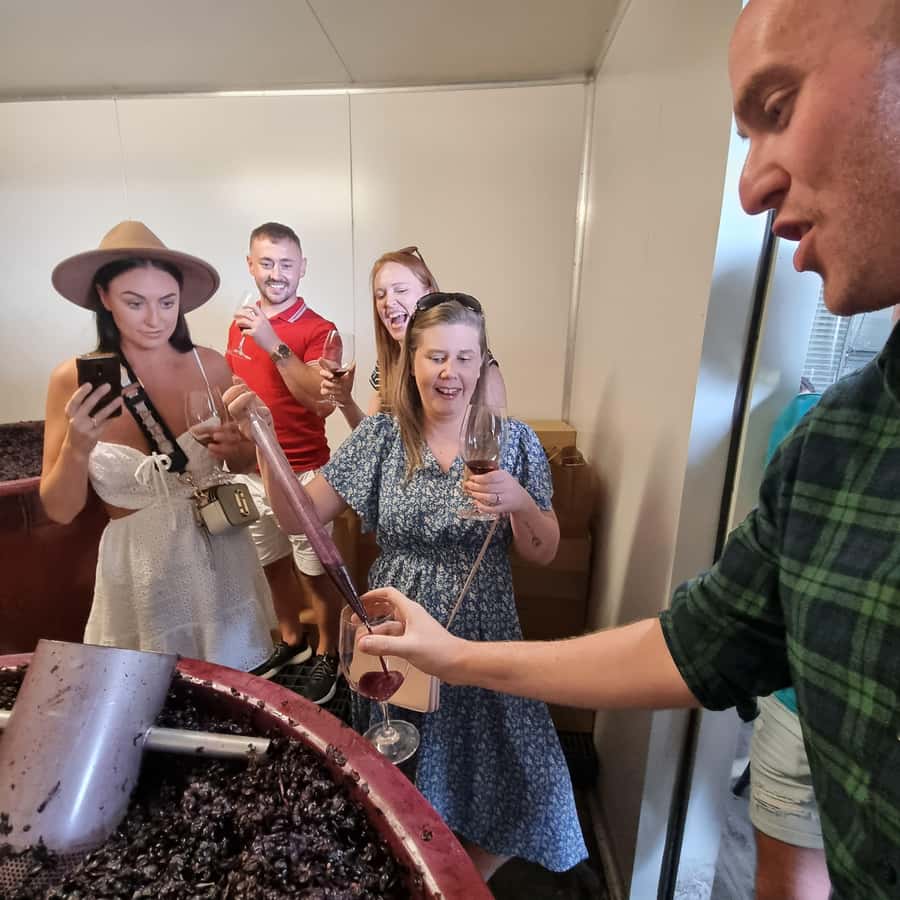 From Sydney: Hunter Valley Wine, Gin & Food Tastings Tour - The scenery is part of the reason to go