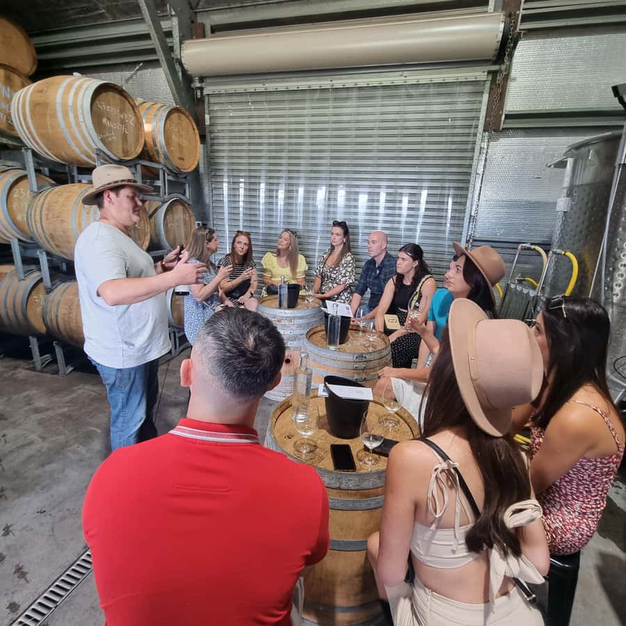 From Sydney: Hunter Valley Wine, Gin & Food Tastings Tour - The first cellar door sets the pace