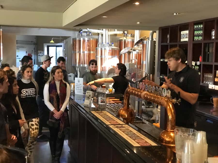 From Sydney: Hunter Valley Wine Tasting & Winery Picnic Tour - What the $107 price really covers