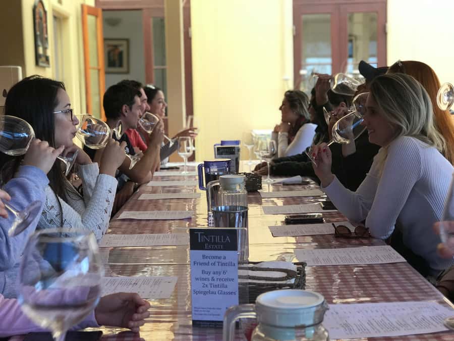From Sydney: Hunter Valley Wine Tasting & Winery Picnic Tour - Group size, languages, and the best kind of passenger