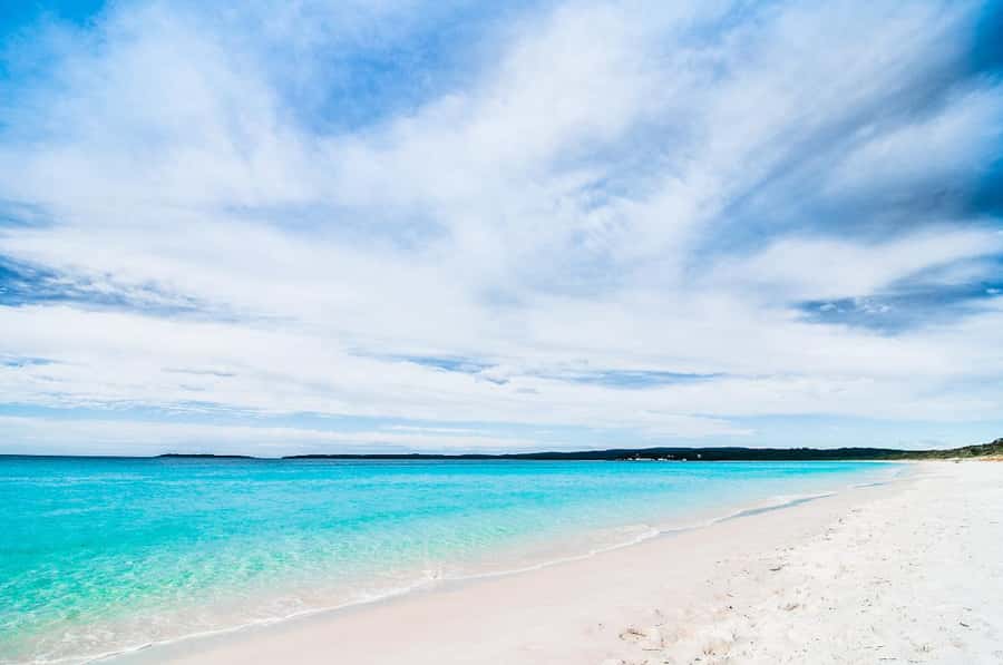 From Sydney: Jervis Bay Day Tour and Dolphin Watching Cruise - Is $94 good value?
