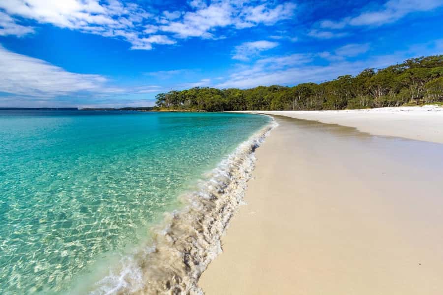 From Sydney: Jervis Bay Day Tour and Dolphin Watching Cruise - Huskisson, lunch, and the middle of the day